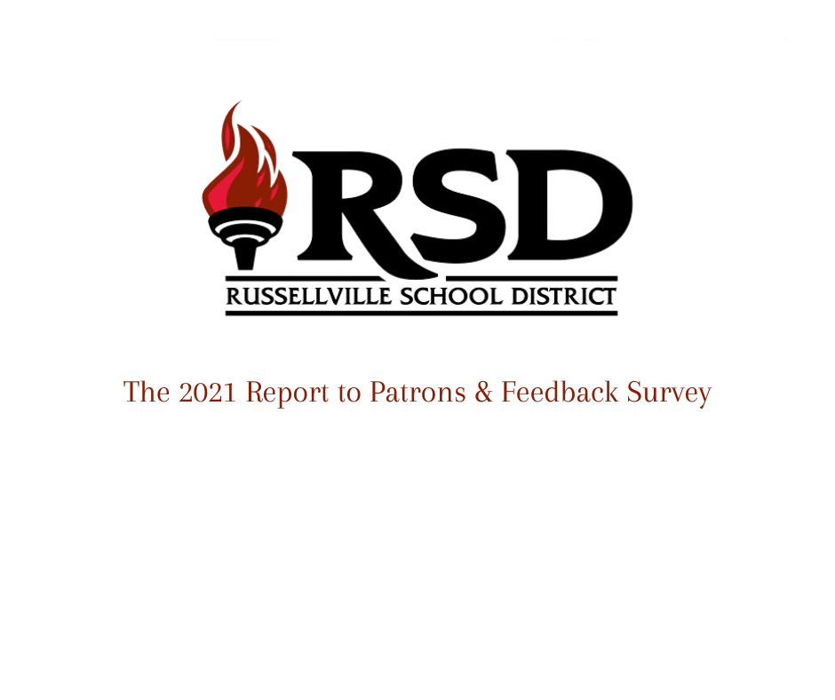 feedback survey
