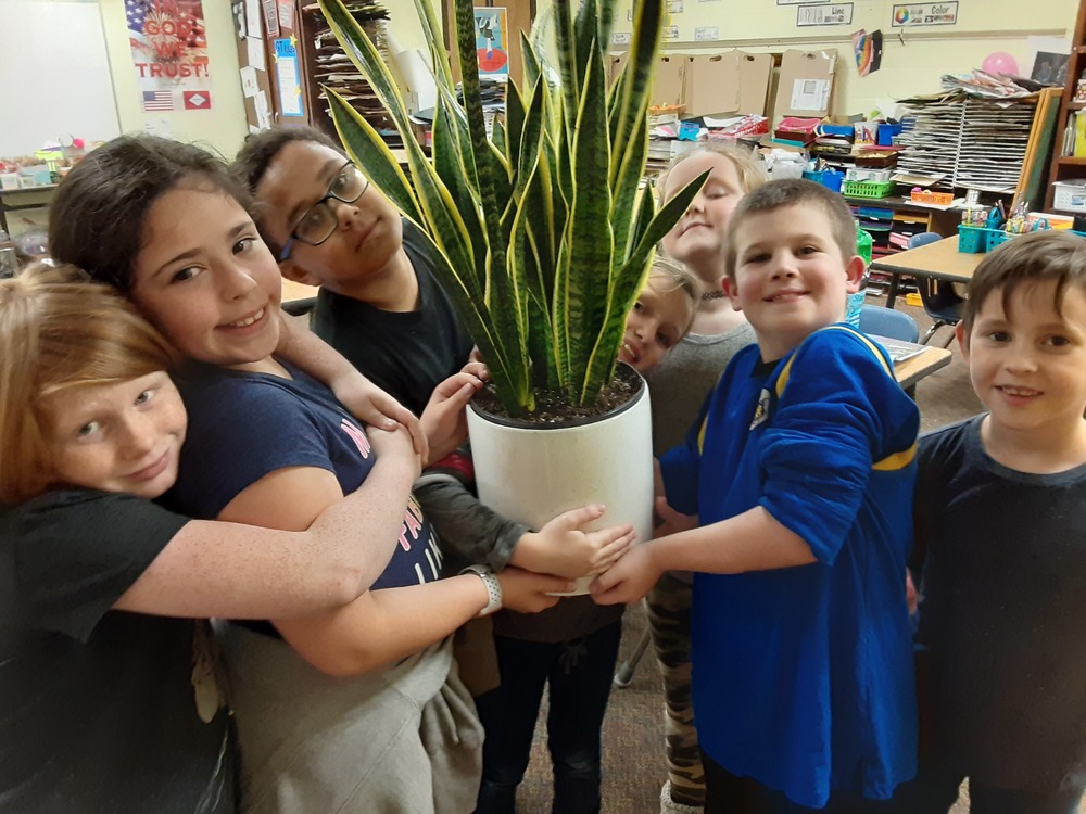Garden club with plant