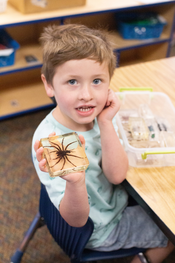 student learning about insects