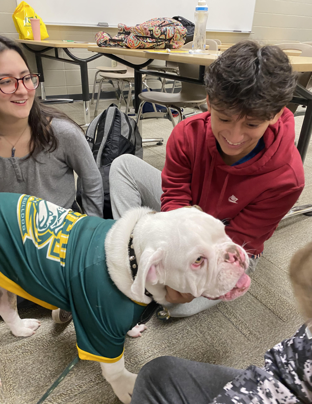 ATU Bulldog