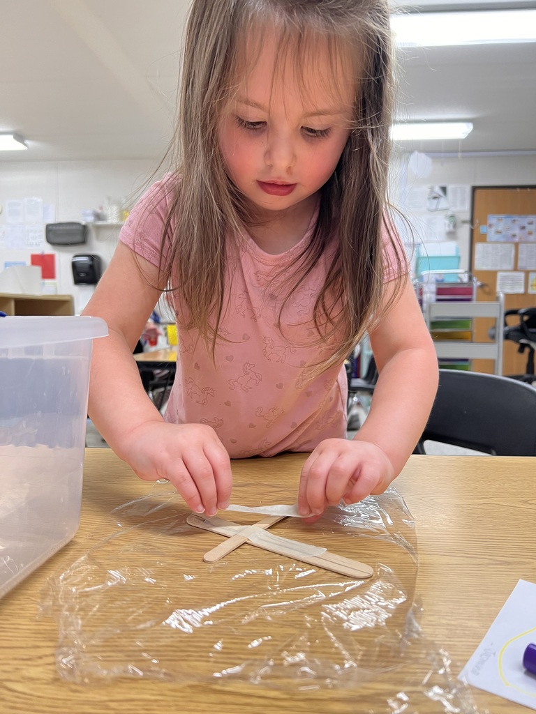 Preschool sink or float activity
